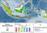 BMKG Rilis Prakiraan Cuaca: Hujan Masih Dominan Menjelang Musim Kemarau