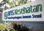 BPJS Kesehatan: Iuran Tetap dan Fitofarmaka untuk Meningkatkan Kesehatan Masyarakat