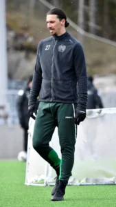 Hammarby: Dari Liga Swedia ke Sepakbola Dunia