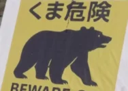 Jepang Hadapi Tantangan Besar: Serangan Beruang dan Ketergantungan Energi