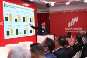 Luhut Minta Maaf kepada Investor Global: Menghadapi Tantangan Ekonomi Indonesia