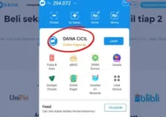 Mengatasi Masalah DANA Cicil Tidak Muncul Setelah Update Aplikasi
