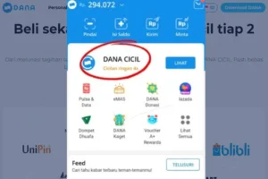 Mengatasi Masalah DANA Cicil Tidak Muncul Setelah Update Aplikasi