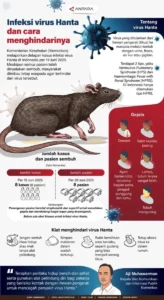 Mewaspadai Hantavirus: Kelompok Rentan dan Cara Pencegahan di Jakarta