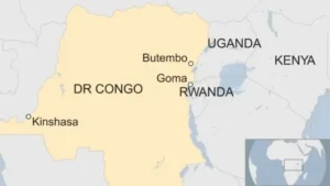 WHO Tetapkan Virus Ebola sebagai Ancaman Global: Waspada Wabah di Uganda dan DRC