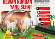 Cara Memilih Hewan Kurban yang Tepat dan Berdampak Positif pada Masyarakat
