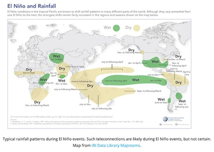Cuaca Ekstrem dan Dampaknya pada Perekonomian: El Nino dan Stok Beras Indonesia