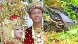 Dunia Selebriti: Kecelakaan, Kematian, dan Cinta Baru