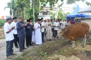 Iduladha 1447 H: Jumlah Hewan Kurban Mencapai 2 Juta Ekor dengan Dampak Ekonomi Besar