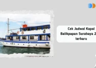 Jadwal Kapal Juni 2026 Balikpapan–Surabaya Lengkap Tarif dan Jadwal