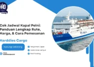 Jadwal Kapal Juni 2026 Semarang–Pontianak DLU dan PELNI, Cek Jam Berangkat