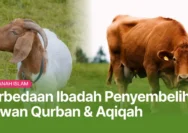 Mengenal Perbedaan Antara Hewan Qurban dan Hewan Sedekah Menurut Fikih dan Hadis