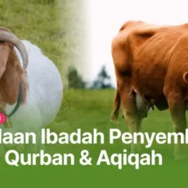 Mengenal Perbedaan Antara Hewan Qurban dan Hewan Sedekah Menurut Fikih dan Hadis