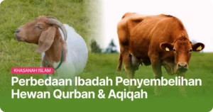 Mengenal Perbedaan Antara Hewan Qurban dan Hewan Sedekah Menurut Fikih dan Hadis
