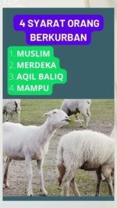 Mengenal Syarat Orang Berkurban: Ketaatan dan Kedermawanan