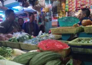 Musim Kemarau Jadi Ancaman Utama Di Jawa Barat, Harga Sayur Siap Naik Drastis