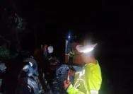 Truk Pengakut Bantuan Pangan Kecelakaan: FMG Minta Pimpinan Bulog dan JPL Dievaluasi