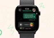 WhatsApp Jadi Sorotan: Dari Emmerdale hingga SpiceJet, Berita Terkini yang Menghebohkan
