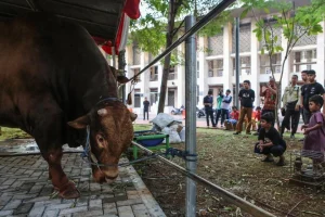 Idul Adha Nasional: Warga di Wilayah Barat Indonesia Waspada Hujan