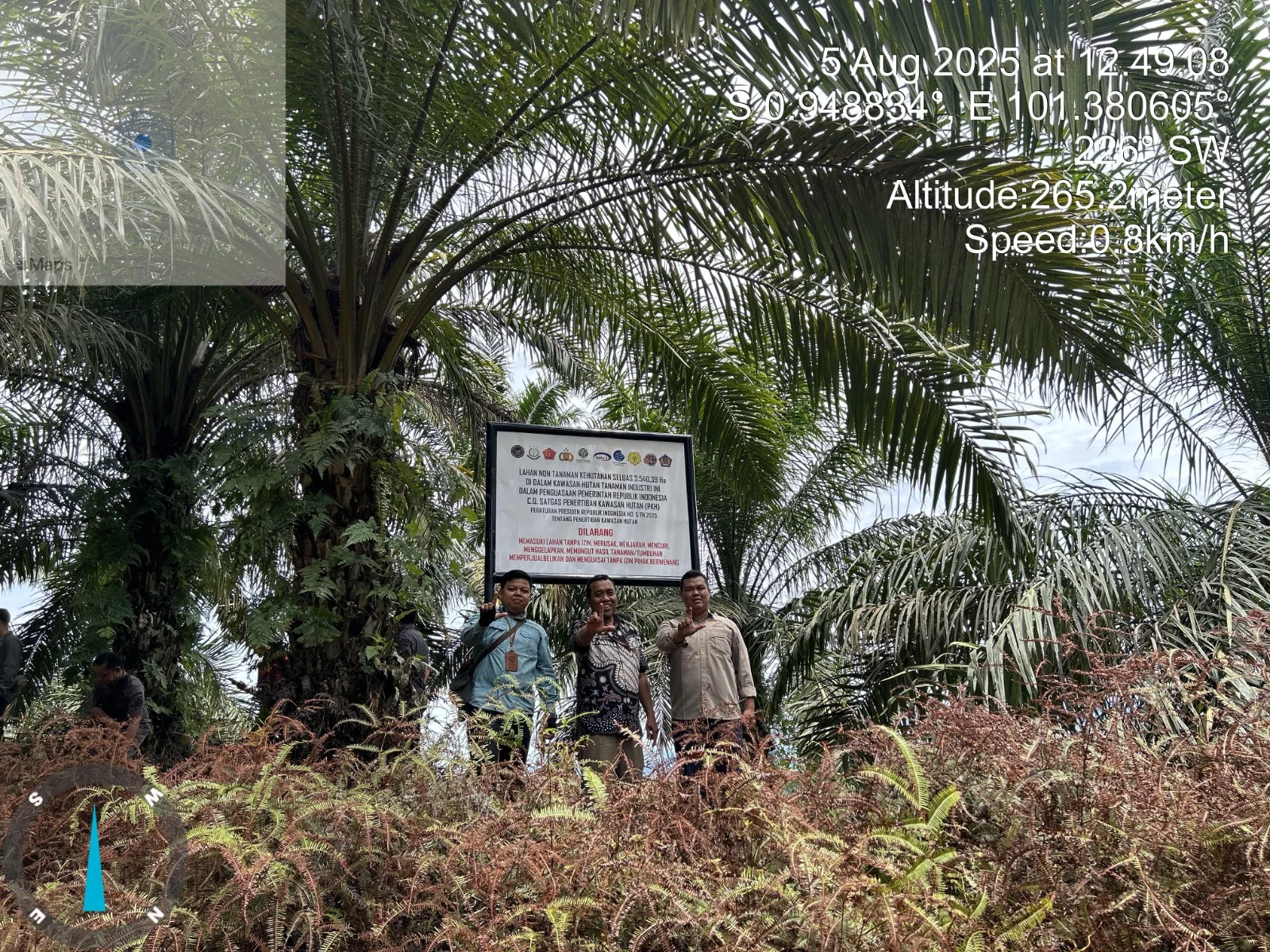 Kondisi Terkini Kantor Perkebunan Sawit di OKI Pasca Dibakar Massa, Upaya Restorasi Hutan dan Pengembangan Kelapa Sawit