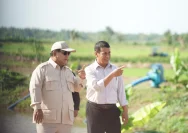 Mentan Amran Sulaiman Dapat Keluhan Petani Soal Solar untuk Traktor, Prabowo Subianto Mengapresiasi Kinerja Mentan