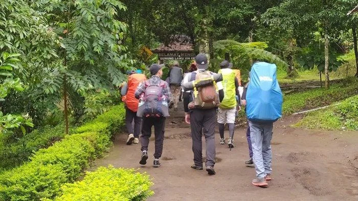 Nasib Apes Rombongan Open Trip Lawu Karanganyar, Turun dari Gunung Malah Celaka!