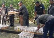 482 Burung Tanpa Dokumen Karantina Digagalkan Masuk Bali, Berisiko Sebarkan Penyakit