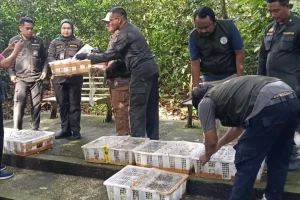 482 Burung Tanpa Dokumen Karantina Digagalkan Masuk Bali, Berisiko Sebarkan Penyakit