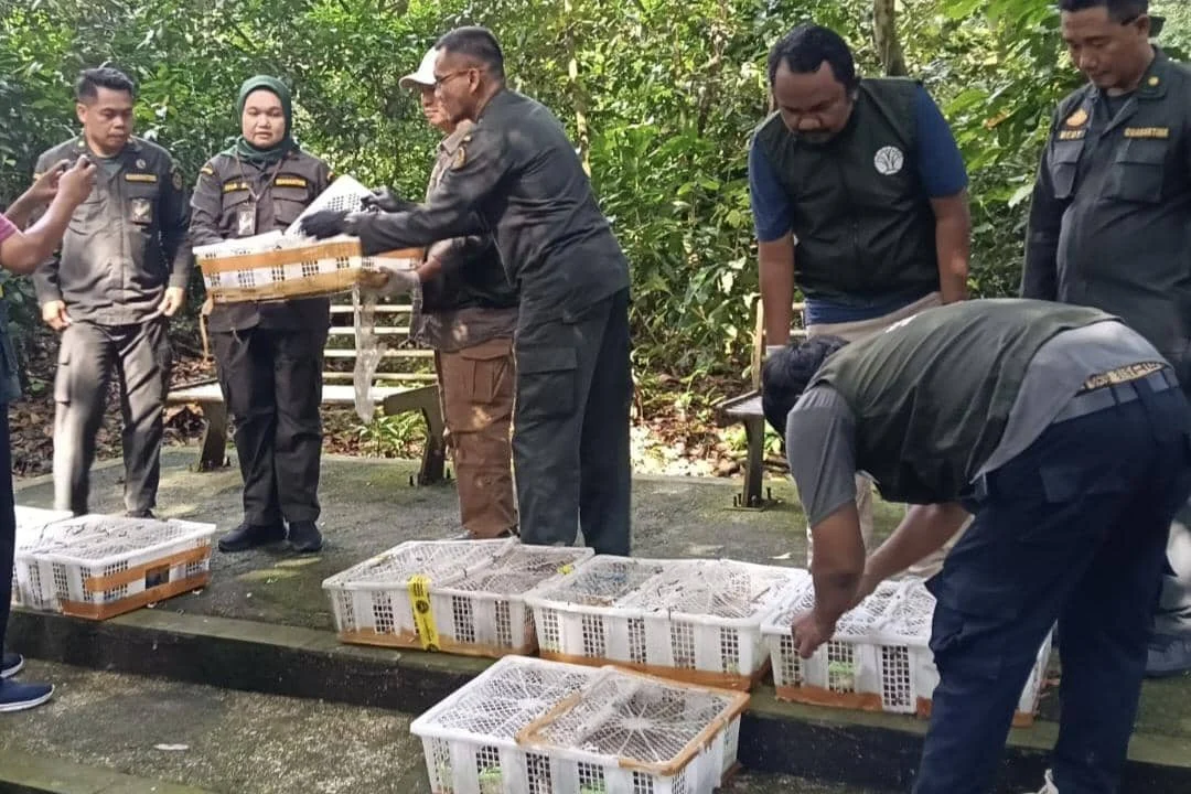 482 Burung Tanpa Dokumen Karantina Digagalkan Masuk Bali, Berisiko Sebarkan Penyakit