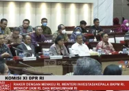 Komisi XI DPR Kembali Kaitkan RUU PFII dengan Risiko Capital Round Tripping