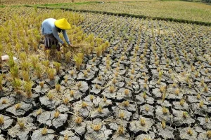 Kota Tangerang Menghadapi Tantangan Kekeringan dan Kecelakaan, Namun Tetap Berkomitmen terhadap Kesejahteraan Masyarakat