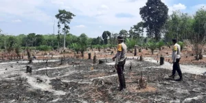 Musi Rawas Menghadapi Tantangan Kebakaran Hutan dan Lahan