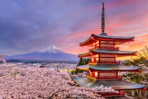 Jepang Cetak Rekor Dunia: Lebih dari 100.000 Warga Berusia di Atas 100 Tahun