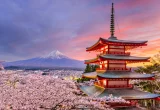 Jepang Protes Keras Usai China-Rusia Gelar Latihan Tembak di ZEE, Ketegangan Asia Timur Memanas