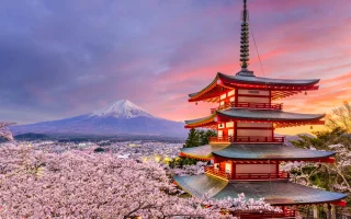 Jepang Protes Keras Usai China-Rusia Gelar Latihan Tembak di ZEE, Ketegangan Asia Timur Memanas