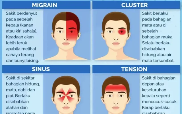 Kepala BGN Perketat Pengawasan MBG: Kepala SPPG Wajib di Dapur, Kualitas dan Variasi Menu Jadi Prioritas