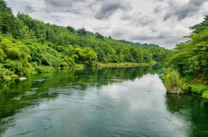 Sungai Mahakam Surut, Kapal Kandas di Samarinda: KSOP Imbau Pelayaran Ditunda